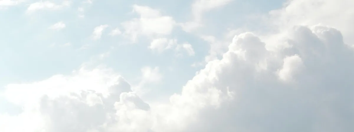 ilustrační foto | zdroj: pexels.com ilustrační foto | zdroj: pexels.com