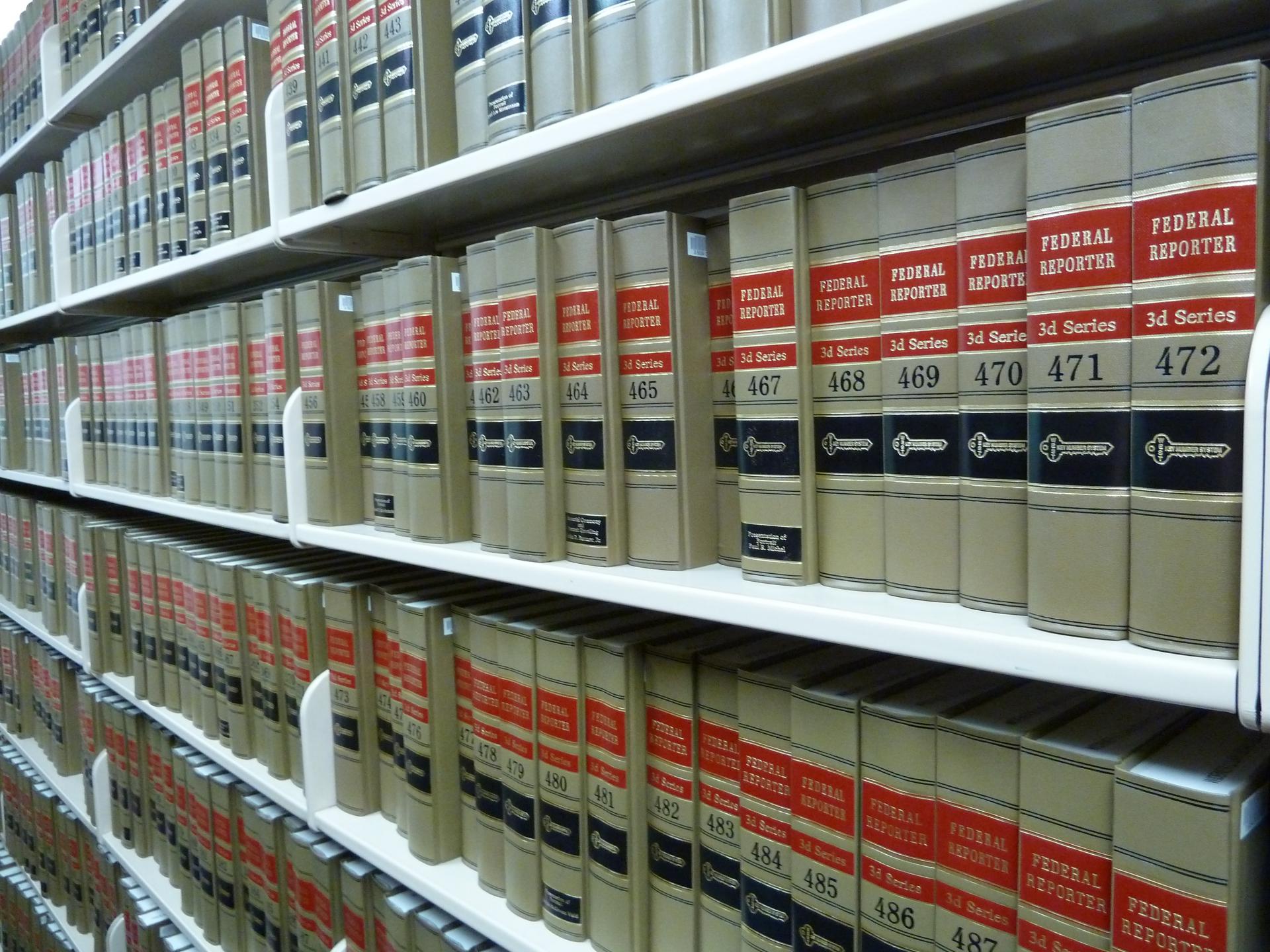 Flickr, Janet Lindenmuth Čekáme na první precedent (rozhovor s Helenou Krejčíkovou)