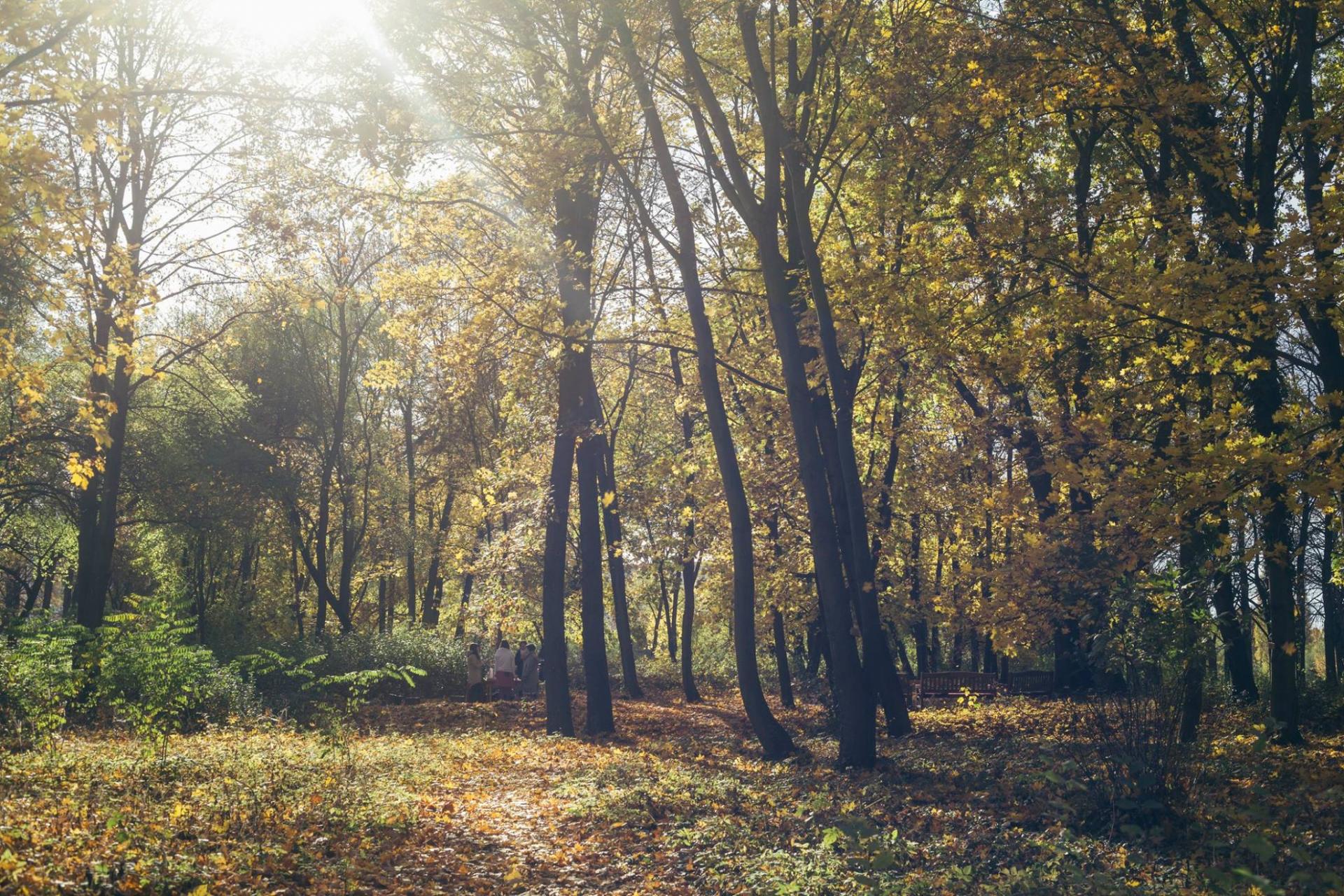 Udělali jsme, co jsme měli? Význam posledního rozloučení